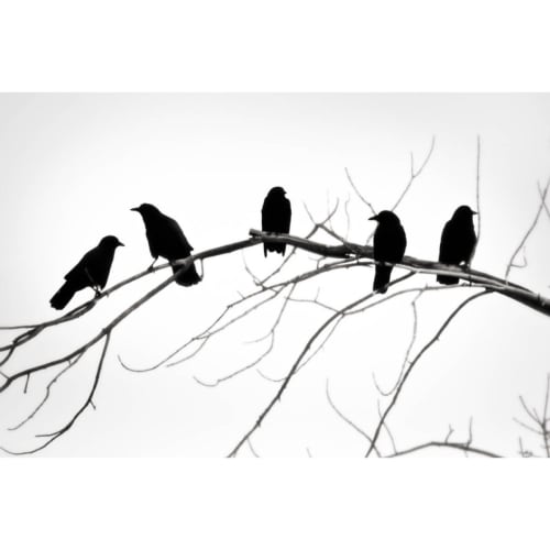 L. Blackwood - Burghers of Bozeman