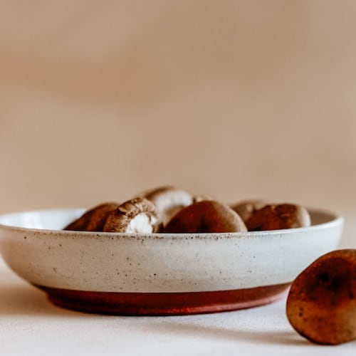 The Daily Ritual Pasta Bowl - The Ojai Collection | Dinnerware by Ritual Ceramics Studio