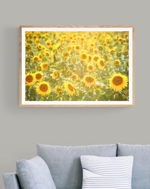 Sunflowers | Photography by Louise O'Gorman