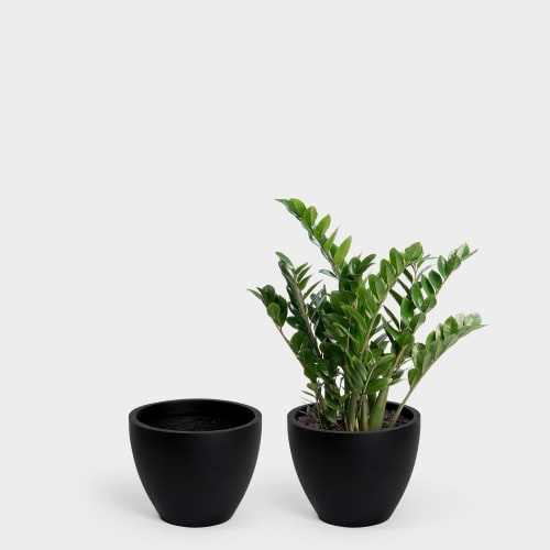 Kent 35 Large Planter | Vases & Vessels by Greenery Unlimited