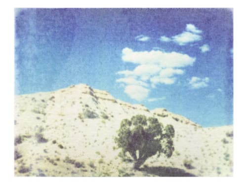 First breath | Photography by She Hit Pause