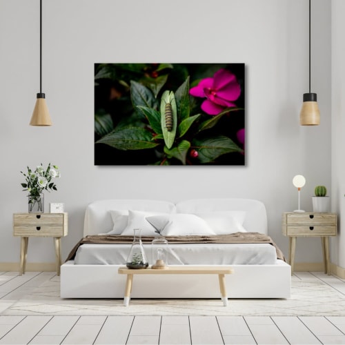 Photograph • Garden Caterpillar, Nature Photography, Floral | Photography by Honeycomb