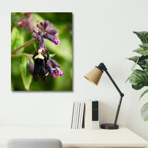 Photograph • Snack Time, Florals, Spring, Bee, PNW, Macro | Photography by Honeycomb