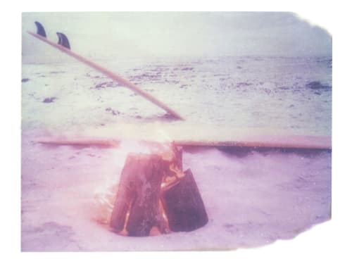 Pinks Visits Fog | Photography by She Hit Pause