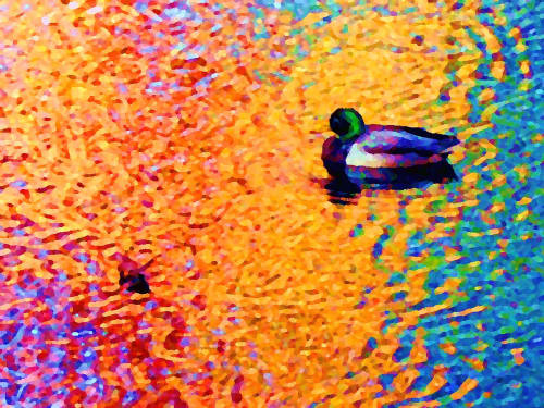 Duck a l'Orange - A tribute to Van Gogh | Photography by Coblitz Creative Concepts, LLC