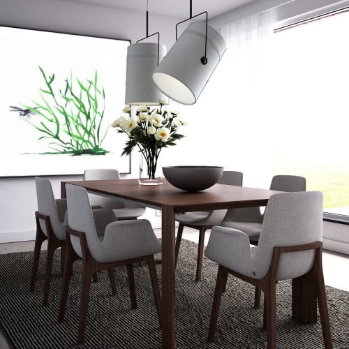 Dragonfly | Prints by Brazen Edwards Artist