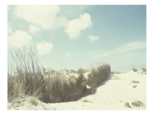 Silent Pales | Photography by She Hit Pause