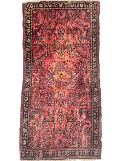LOVELY Semi-Antique Botanical Sarouk | Plush Wool | Area Rug in Rugs by The Loom House