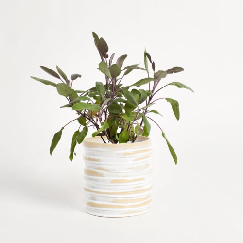 Alfonso Planter | Vases & Vessels by Project 213A