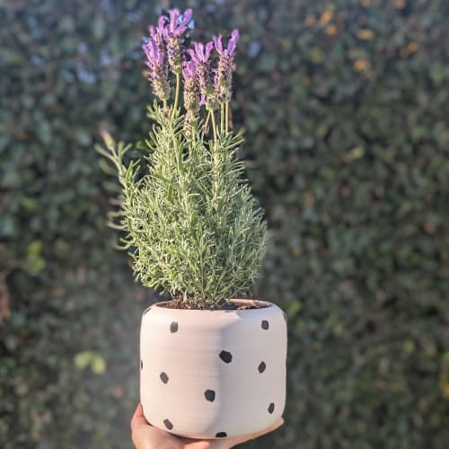 Brushstroke Dot Planter | Vases & Vessels by btw Ceramics