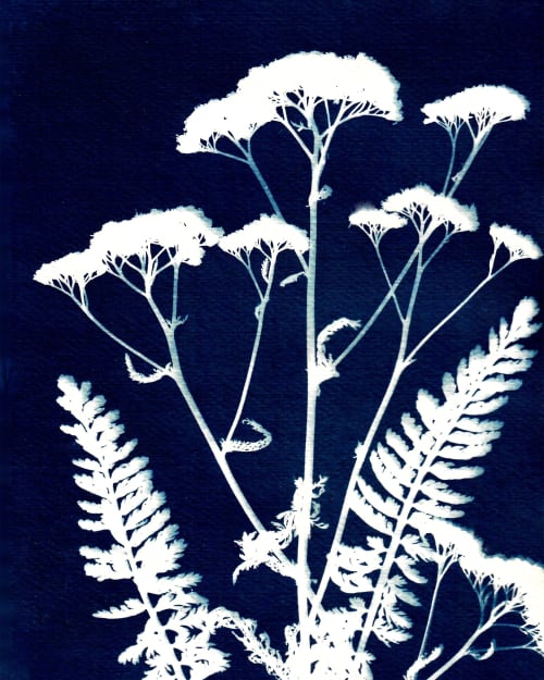 Yarrow Three | Paintings by Kathy Ferguson Art