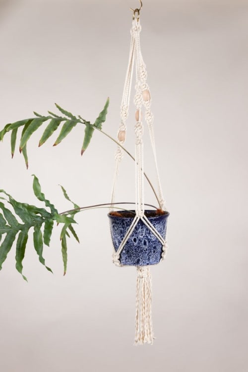 Spiral Plant Hanger | Plants & Landscape by Modern Macramé by Emily Katz