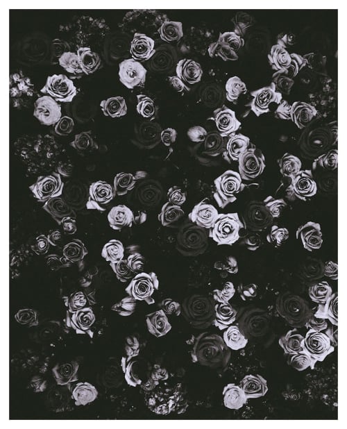 Large Flower Art, Flower Poster, Flowery Art, Goth Art | Prints by Capricorn Press