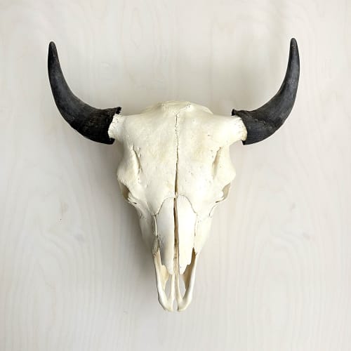 Bison Skull - Natural | Wall Sculpture in Wall Hangings by Farmhaus + Co.