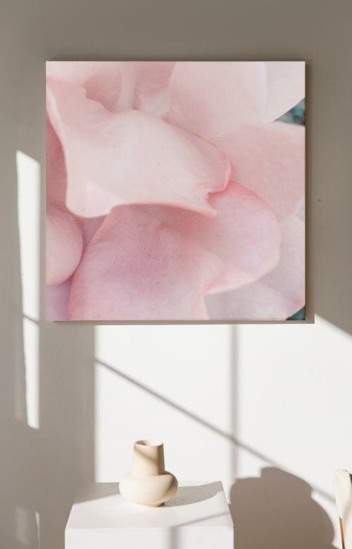 accidental pleasure | Photography by Lani Trock