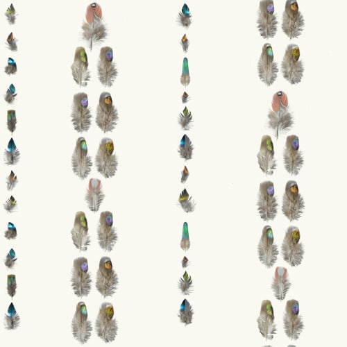 Light As A Feather | Wallpaper in Wall Treatments by Wallcovetings by Brenda Houston