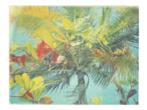 The Tropical Blue Wind | Paintings by She Hit Pause