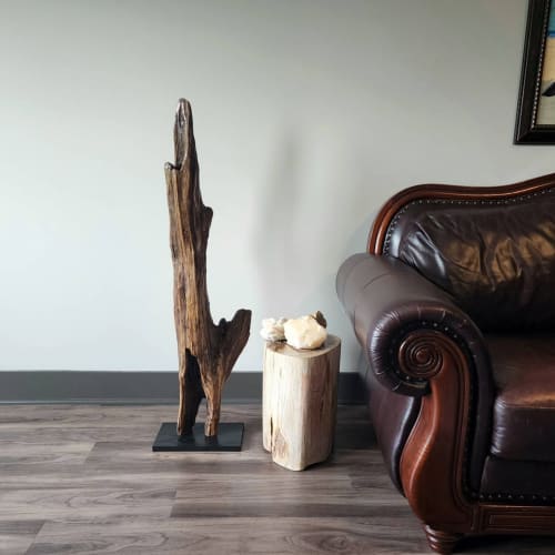 Driftwood Sculpture "Caymen Strait" | Sculptures by Sculptured By Nature  By John Walker