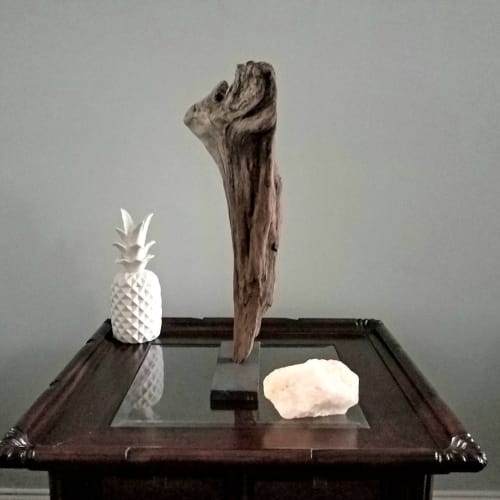Driftwood Sculpture "Tooth and Nail" | Sculptures by Sculptured By Nature  By John Walker