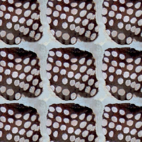 Grandes, Onyx | Linens & Bedding by Philomela Textiles & Wallpaper