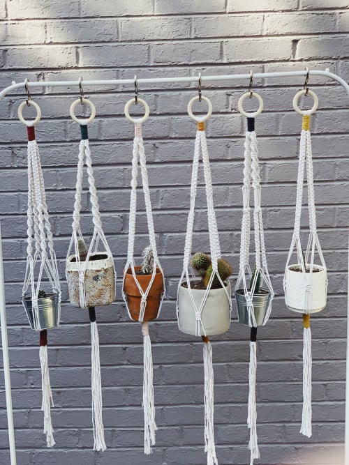 The Walter Macrame Plant Hanger | Plants & Landscape by Likewoah Handmade (Sam)