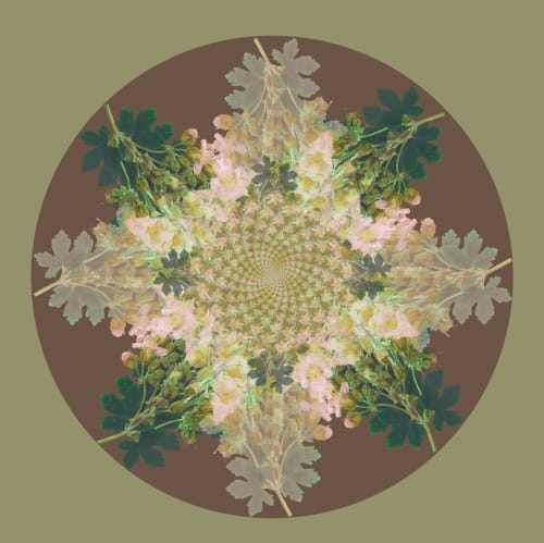 Botanical mandala #1 | Photography by Louise O'Gorman