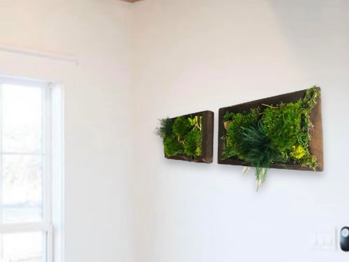 Botanica Fern and Moss Wall | Moss and Fern Wall | Moss Wall