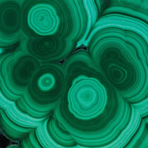 Malachite - Verde | Wallpaper by Brenda Houston