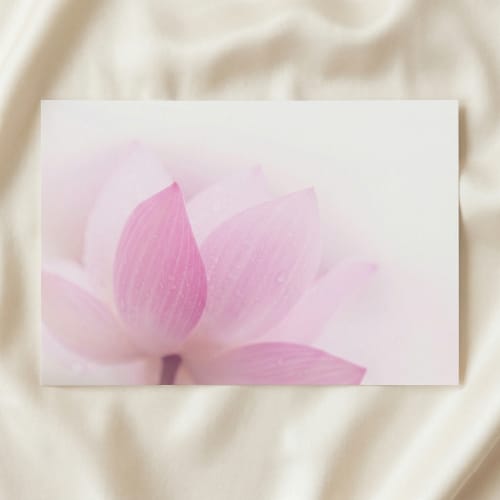Pink Flower Wall Art: Lotus Nature Photo Loose Print | Photography by PIPA Designs