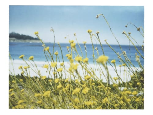 The colors of wind and warmth | Photography by She Hit Pause