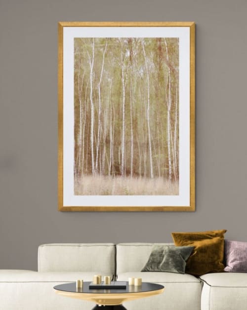 Woodlands #1 | Photography by Louise O'Gorman