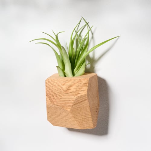 GEORGIA Red Oak Air Plant Holder | Planter in Vases & Vessels by Untitled_Co