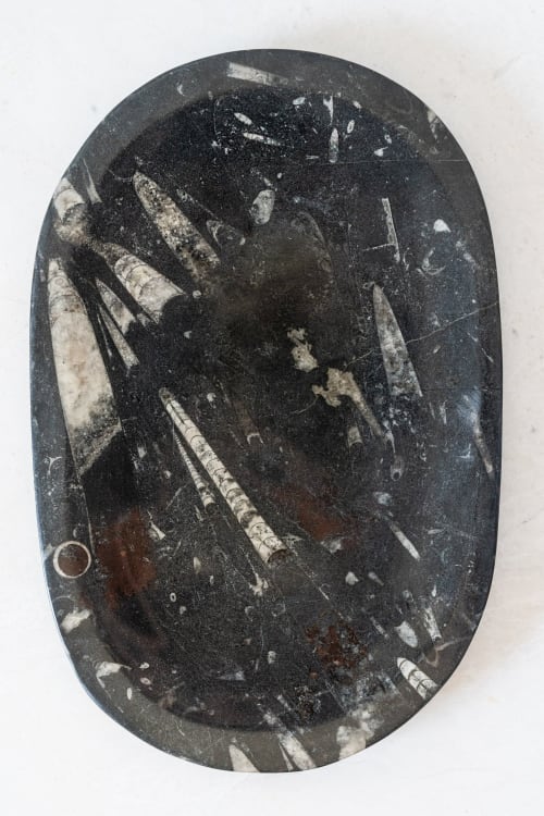 District Loom Vintage Oblong Fossilized Platter | Decorative Objects by District Loom