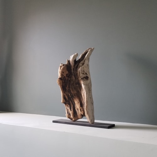 Driftwood Sculpture "Blooming" | Sculptures by Sculptured By Nature  By John Walker