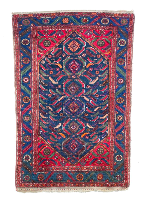 COLORFUL Charming Antique Rug | Schools of Fish Swimming | Area Rug in Rugs by The Loom House