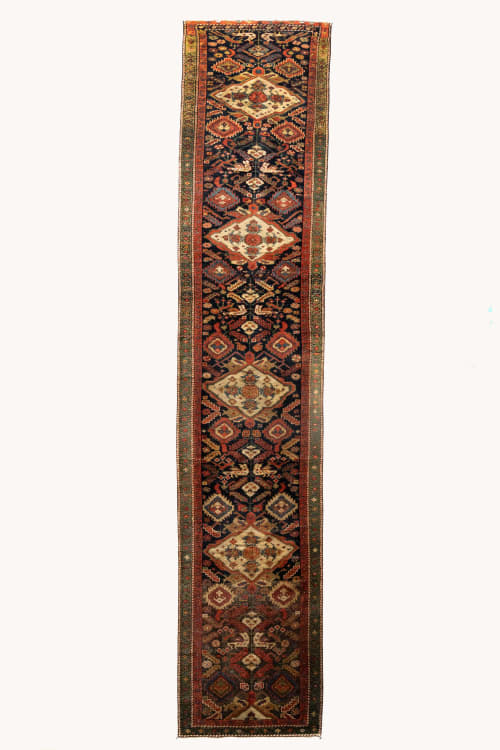 Briar | 3'1 x 13'11 | Runner Rug in Rugs by District Loom