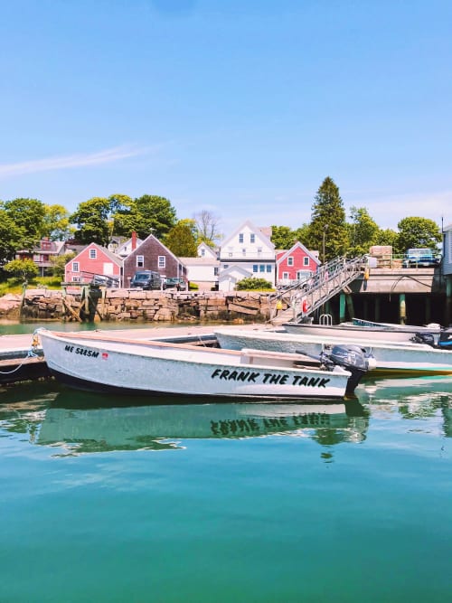 Frank The Tank | Photography by Neon Dunes by Lily Keller