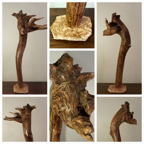 Driftwood Root Sculpture "Uncomely" with Travertine Base | Sculptures by Sculptured By Nature  By John Walker