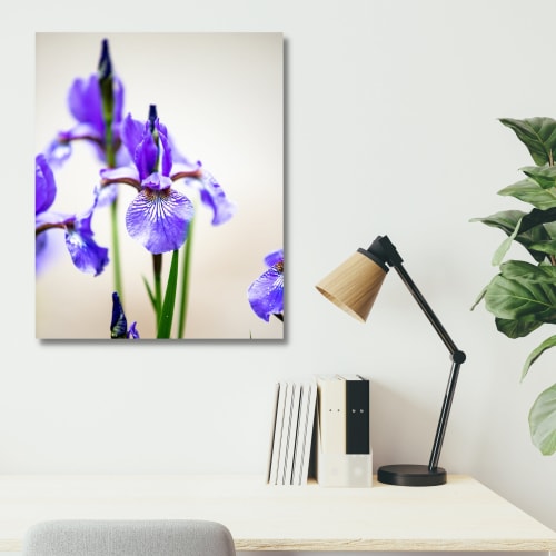 Photograph • Flowers, Purple Iris, Garden, Nature Photograph | Photography by Honeycomb
