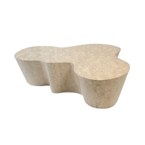 FOSSILIZED STONE (Orgo) | Cocktail Table in Tables by Oggetti Designs