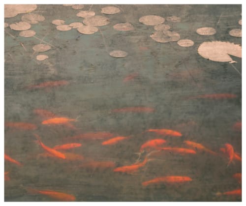Beneath the water lilies | Photography by Louise O'Gorman