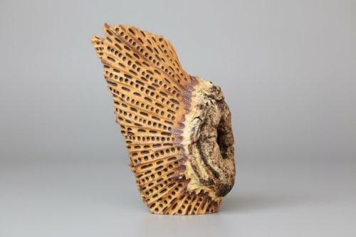 BioMech Knot | Decorative Objects by Wood Alchemist Studio