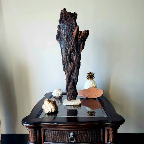 Driftwood Bark Art Sculpture "Brusque Mitt" | Sculptures by Sculptured By Nature  By John Walker