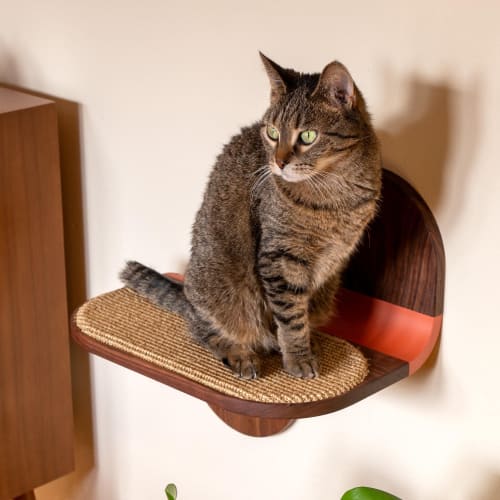 Cat Shelves : Wall Mounted Floating Cat Steps With Scratcher | Shelving in Storage by Spacecraft Furnishing