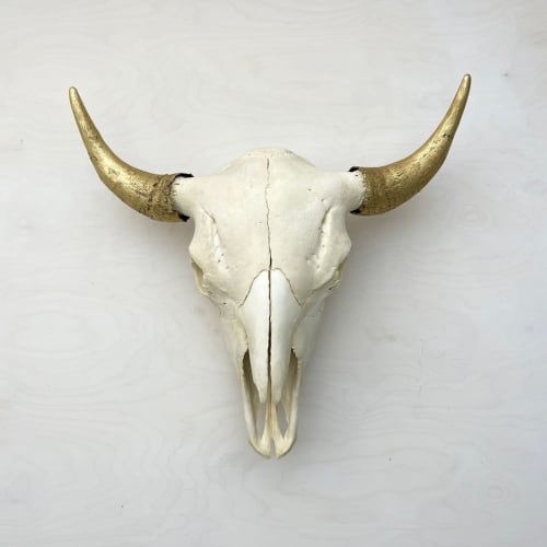 Bison Skull - Natural, Gilded Horns | Wall Hangings by Farmhaus + Co.