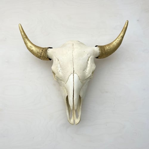 Bison Skull - Natural, Gilded Horns | Wall Sculpture in Wall Hangings by Farmhaus + Co.