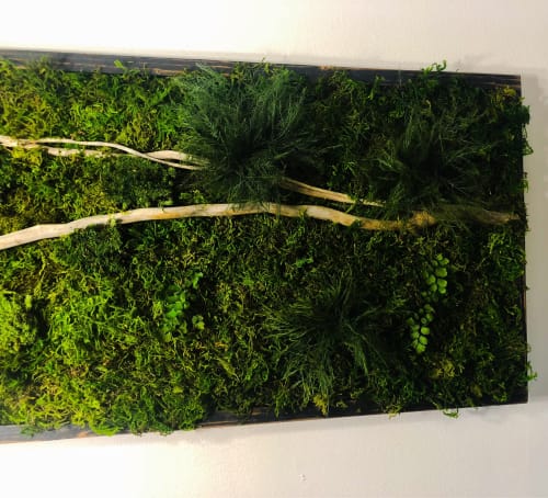 Statement Wall Art, Green Moss Wall Art Real Large Plant | Plants & Landscape by Sarah Montgomery