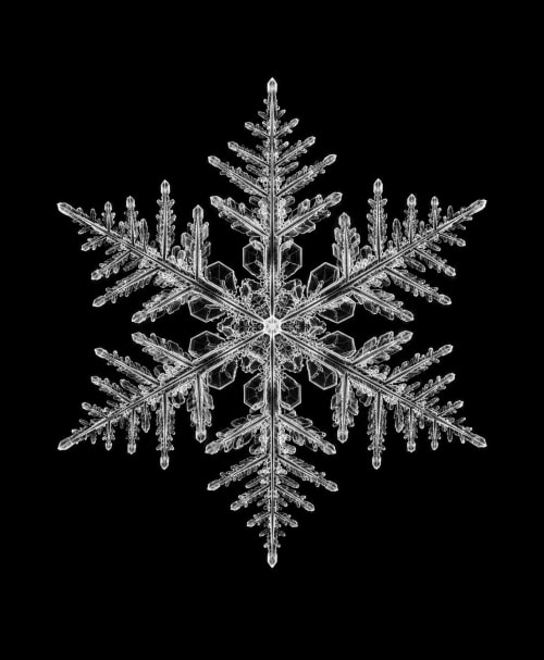 EXPOSED WINTER — SNOWFLAKE | Decorative Objects by Exposedart