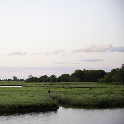 Marsh | Prints by Neon Dunes by Lily Keller