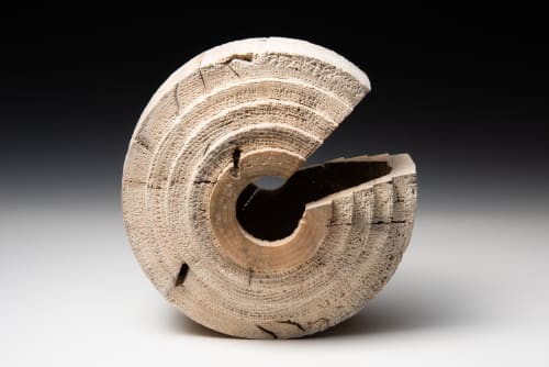 Ash - Wheel Series | Decorative Objects by Louis Wallach Designs